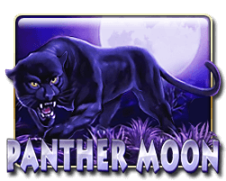 Panther Moon 老虎機評測：神秘黑豹守護你的獎勵